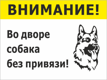 Во дворе собака без привязи