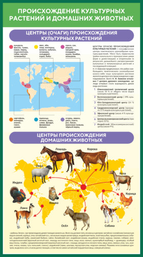 Стенд  Происхождение культурных растений и домашних животных